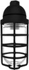 VP100DGB-3/4 Vaporproof 100 Pendant 3/4 Inch Black Glass Globe Cast Guard