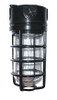 VX100DGB-3/4 Vaporproof 100 Ceiling 4 Inches Box 3/4 Inch Black Globeglobe