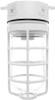 VX100DGW Vaporproof 100 Ceiling 4 Inches Box 1/2 Inch White With Globeglobe
