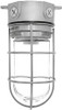 VX100G Vaporproof 100 Ceiling 4 Inches Box 1/2 Inch With Glass Globe