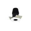 NIOB-1RPH35XBMPW 1" Iolite LED Bwf Round Pinhole 600LM 3500K Black Pinhole / Matte