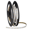 NUTP81-W100LED942 High Output 100' 24V Continuous LED Tape Light 310LM / 4.3W Per