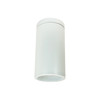 NYLD2-6S10140WWW 6" Cobalt Surface Mount Cylinder White 1000L 4000K White/white