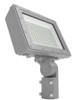 HAZFFLED100SF  Hazardous Flood Medium 100W 5000K Slipfitter Mount Gray