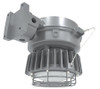 HAZLED30WMFG  Hazardous Location 30W 5000K Wall Mount Frost Globe Gray