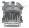HAZLED60CFG  Hazardous Location 60W 5000K Ceiling Frost Globe Gray