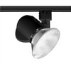 T230BL  Close-Up - Line Voltage 75W PAR30, Black Color