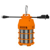 TEMP17-100 TEMP17 100W 5000K CRI80 6FT 18AWG/2 Cable