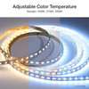 RRL-TLK-DL Lumaris Tunable White Tape Light, Daylight Starter Kit 2500-5000K