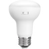 R20-6-9CCT-DIM
