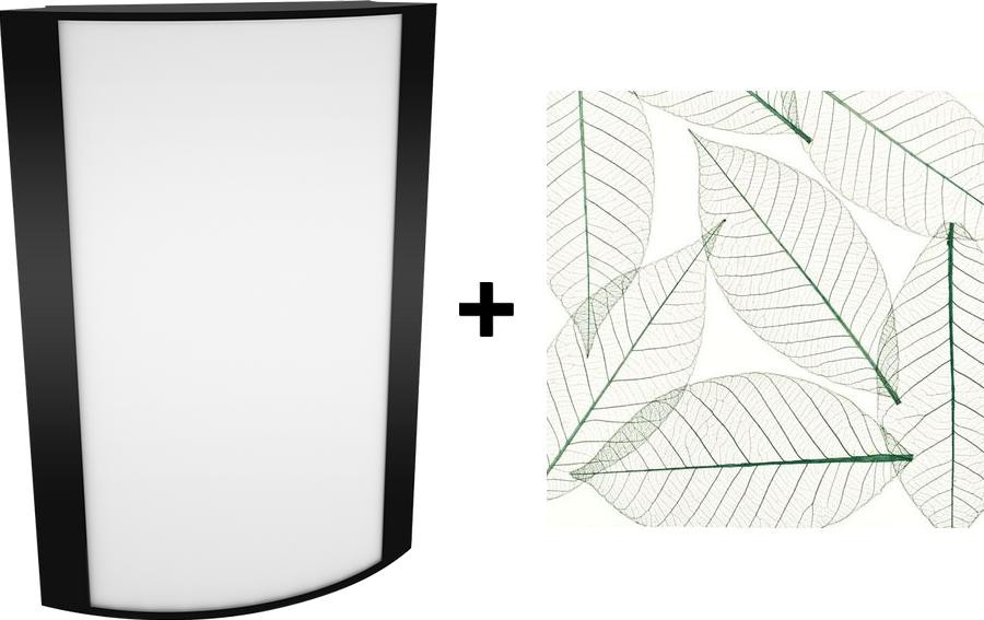 HALV10L927-GL-K/BL Architectural 211 Lumens HALV Forward Light 14W 90CRI 2700K Green