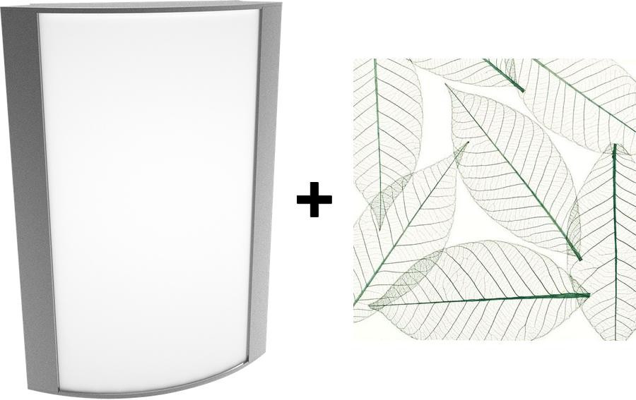 HALVS10L935-GL-S/BL/E2 Architectural 250 Lumens HALVS Forward & Up/down Light 14W 90CRI