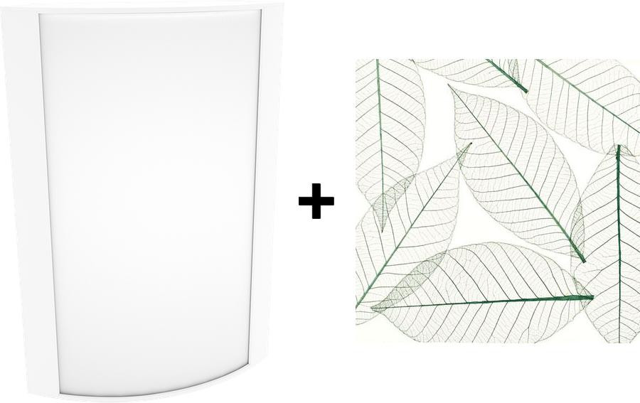 HALVS18L940-GL-W/E2 Architectural 445 Lumens HALVS Forward & Up/down Light 25W 90CRI