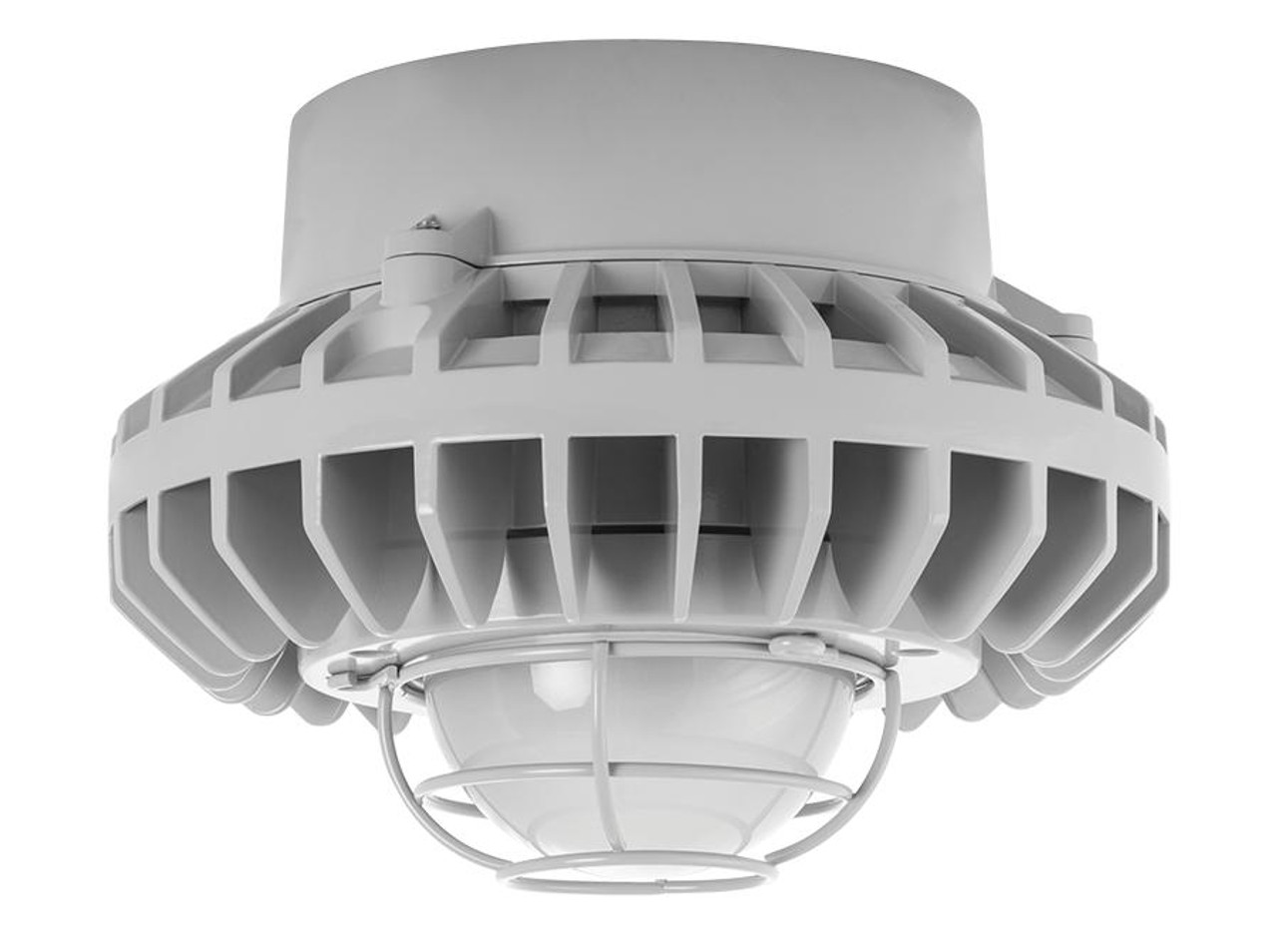 HAZPLED26F-G Hazardous Lighting 2793 Lumens Hazpled 26W Clear Flat Lens Wire