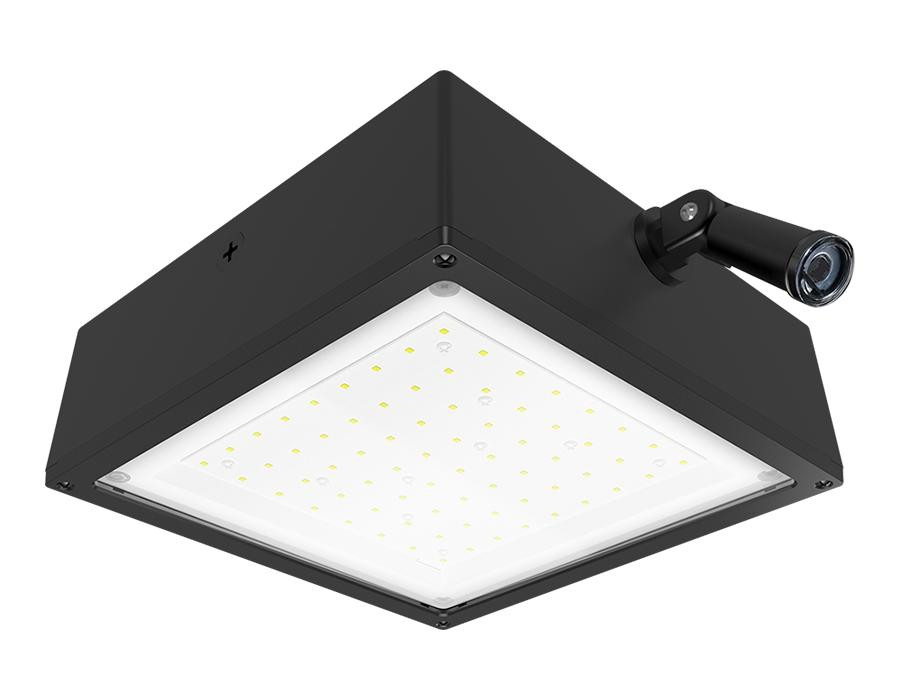 VANLED40YFR/480/WS Canopy Lights 6181 Lumens VANLED 40W 3000K 480V Frosted Lens