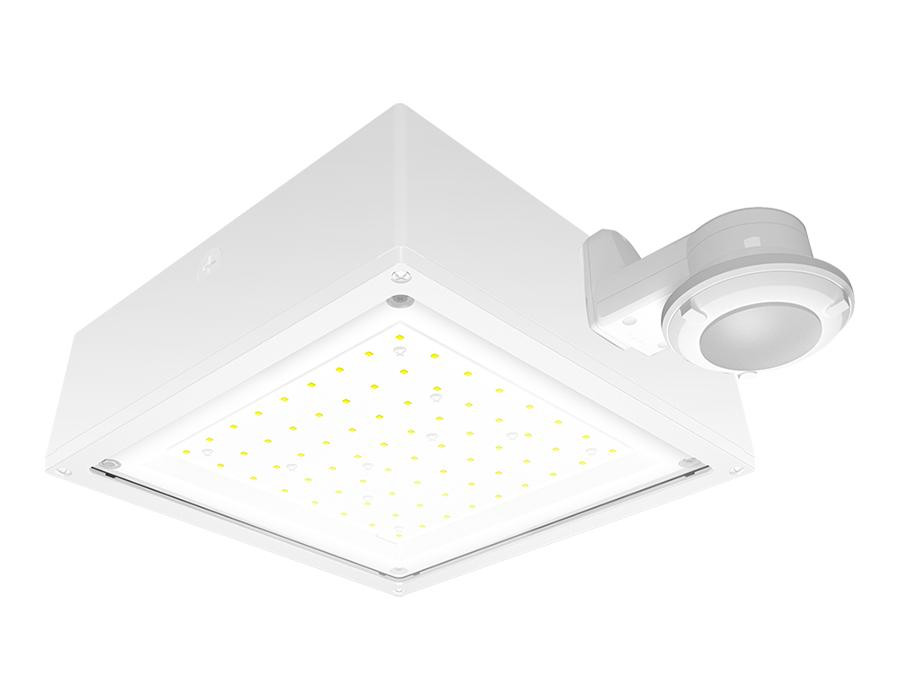 VANLED75NFW/480/WS2 Canopy Lights 11012 Lumens VANLED 75W 4000K 480V Flat Clear Lens