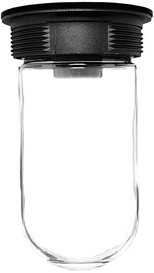 VC200B Vaporproof 200 Ceiling Black With Glass Globe
