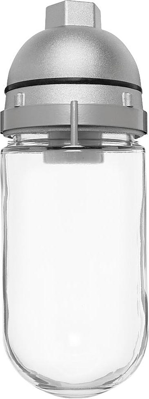VP100S Vaporproof 100 Pendant 1/2 Inch Silver With Glass Globe