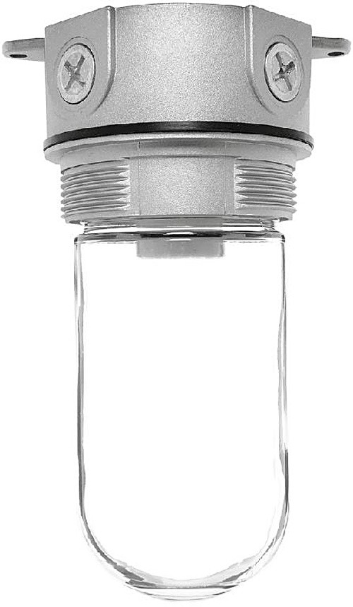 VX100 Vaporproof 100 Ceiling 4 Inches Box 1/2 Inch With Glass Globe