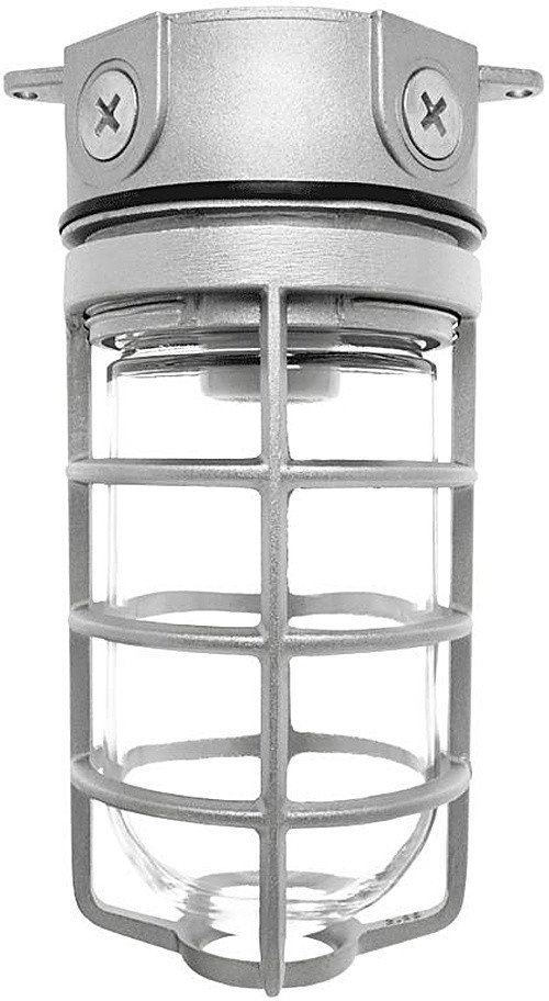 VX100DG Vaporproof 100W Ceiling 4 Inches Box 1/2 Inch Nps Globeglobe