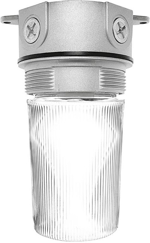 VX100P Vaporproof 100 Ceiling 4 Inches Box 1/2 Inch With Perma Globe