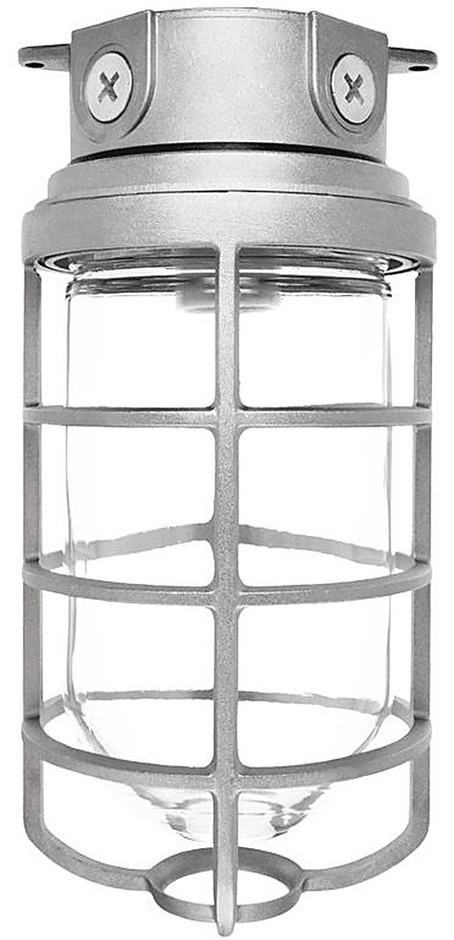 VX200DGW Vaporproof 200 Ceiling 4 Inches Box 1/2 Inch White With Globeglobe