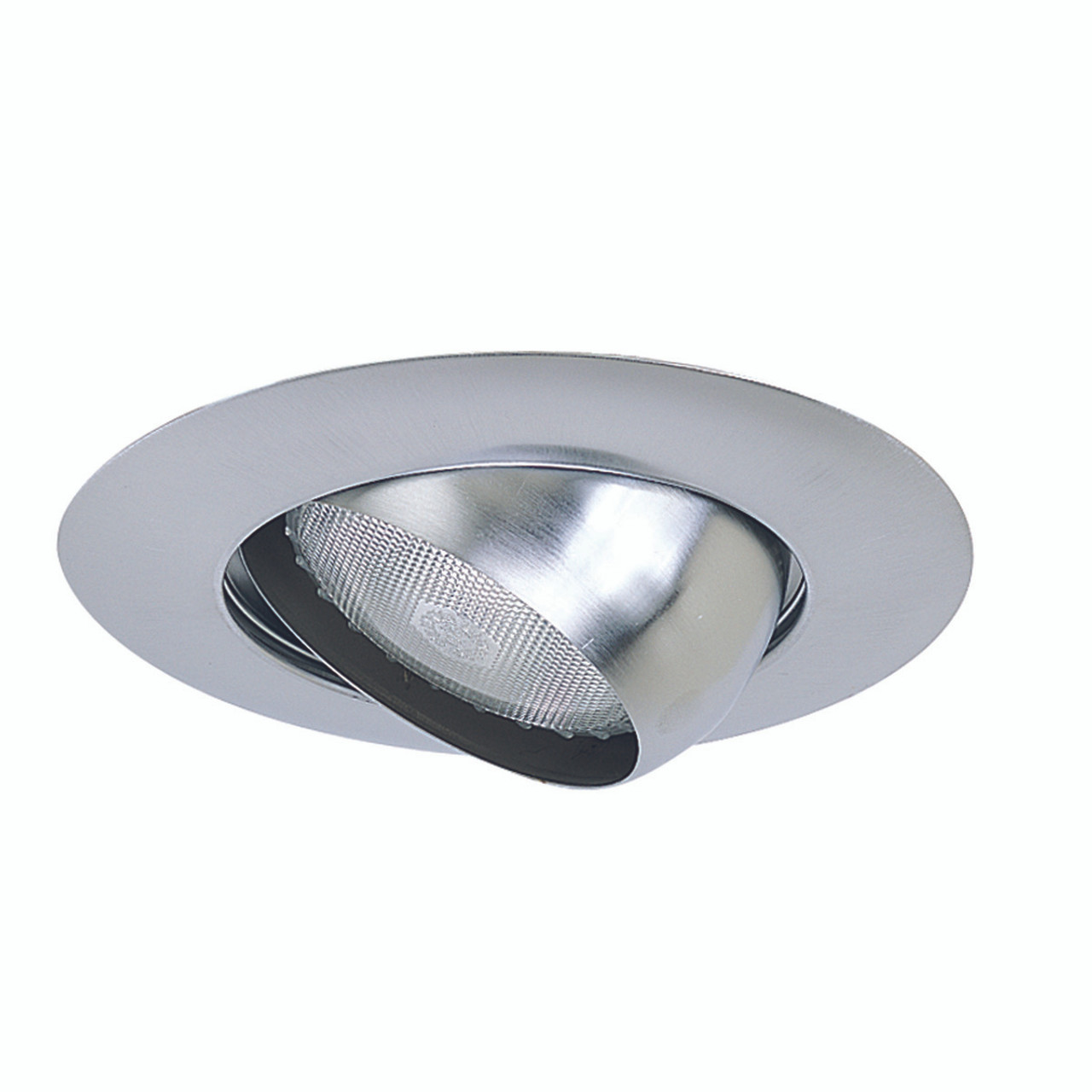 NT-28N 6" BR/PAR30 Eyeball W/ Metal Trim Natural Metal
