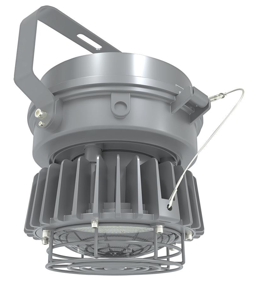 HAZLED60CG  Hazardous Location 60W 5000K Pendant Clear Globe Gray