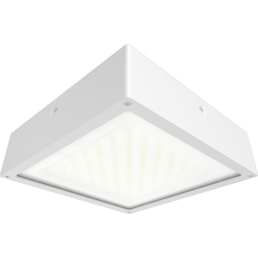 VAN34-90FFRW/480 VAN34 90/80/70W 3000/4000/5000K 480V Flat Frosted Lens Wht