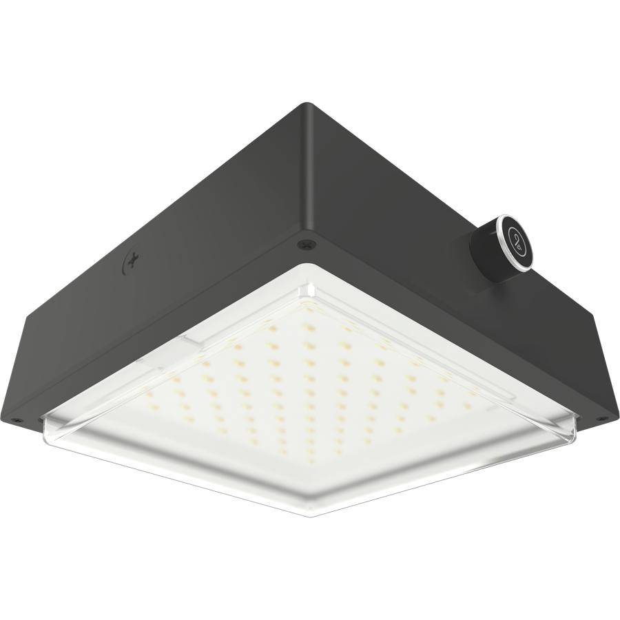 VAN34-90/480/LCBS/MVS VAN34 90/80/70W 3000/4000/5000K 480V Drop Clear Lens Lightcloud