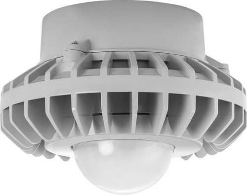 HAZPLED80F Hazardous Lighting 8340 Lumens Hazpled 80W Frosted Globe Gray