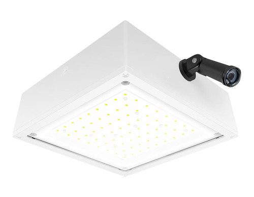 VANLED10FW/PCS Canopy Lights 2120 Lumens VANLED 10W Flat Clear Lens 120V Swivel