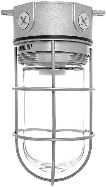 VX100G Vaporproof 100 Ceiling 4 Inches Box 1/2 Inch With Glass Globe