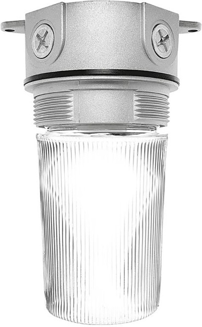 VX100P Vaporproof 100 Ceiling 4 Inches Box 1/2 Inch With Perma Globe