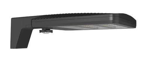 ALEDS2TYA/WS2  ALED 40-60W Type II Amber Pole Mount WS Sens 20' Lens