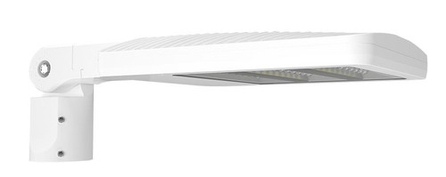 ALEDS5TSFYAW/7PR  ALED 40-60W Type V Amber W/ Slipfitter 7PIN Receptacle