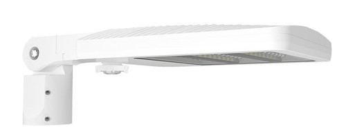 ALEDS5TSFYAW/WS2  ALED 40-60W Type V Amber W/ Slipfitter WS Sens 20' Lens