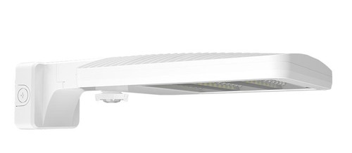 ALEDSATWMYAW/WS2  ALED 40-60W At Amber Wall Mount WS Sens 20' Lens White