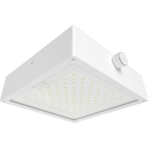 VAN34-90FW/480/LCBS/MVS VAN34 90/80/70W 3000/4000/5000K 480V Flat Clear Lens Lightcloud