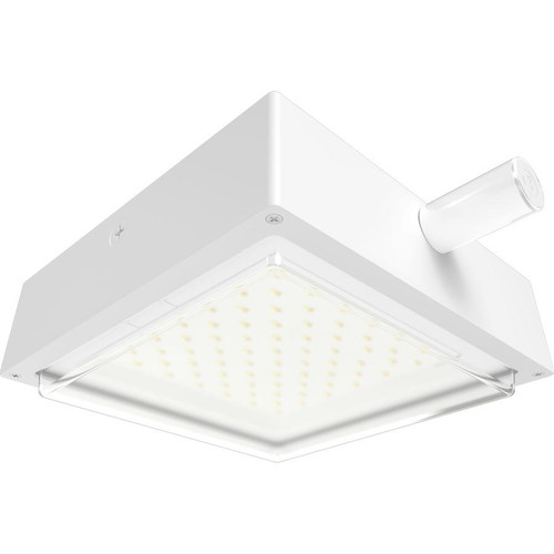VAN34-90W/480/LC VAN34 90/80/70W 3000/4000/5000K 480V Drop Clear Lens Lightcloud