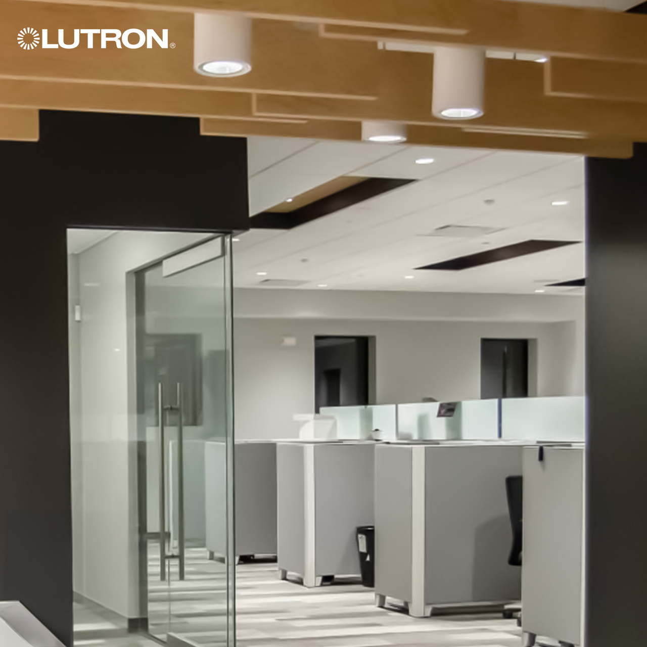 Lutron RMJS-8T-DV-B: A Guide