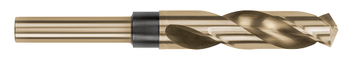 1.2500" (1-1/4) Drill DIA x 3.0000" (3) Flute Length - 2 FL - Gold Oxide Finish, SD93666