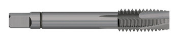 TAP 6-32 H3 3FL SP/PT PLUG PPM STEAM OXI, TT96924  TITAN USA  SKU TITUS1-TT96924