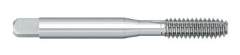 TAP 6-32 H5 THRD FORM BOTT, TT82842  TITAN USA  SKU TITUS1-TT82842