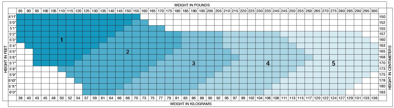 Hue Denim Size Chart