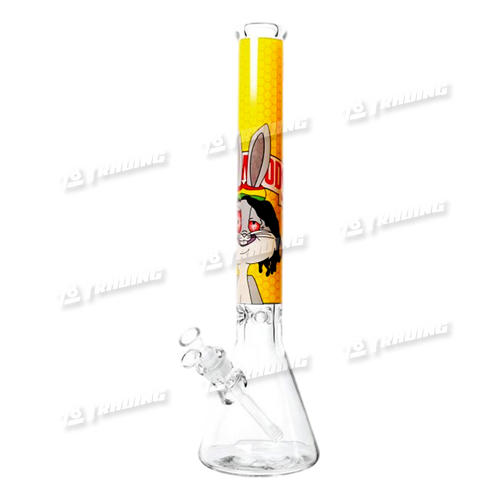Non Brand Cartoon Decal Beaker 20inch 9mm