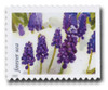 1378846 - Mint Stamp(s)