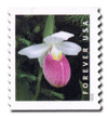 1079918 - Mint Stamp(s)