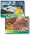 357314 - Mint Stamp(s)