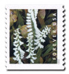 1079910 - Mint Stamp(s)